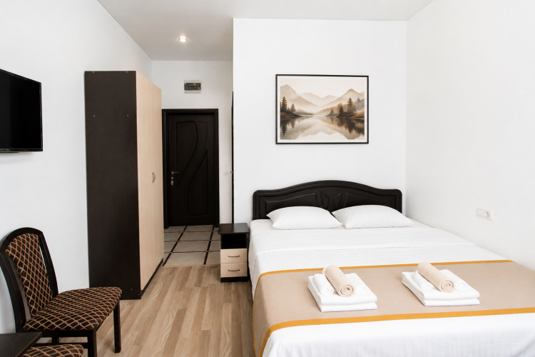 Standard Double room with city view