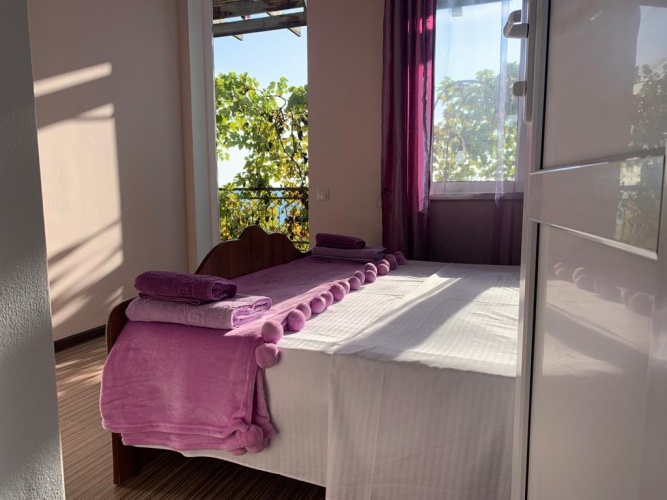 Standard Double room with balcony and with sea view