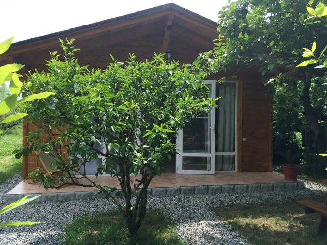 Ekodomik Bungalow