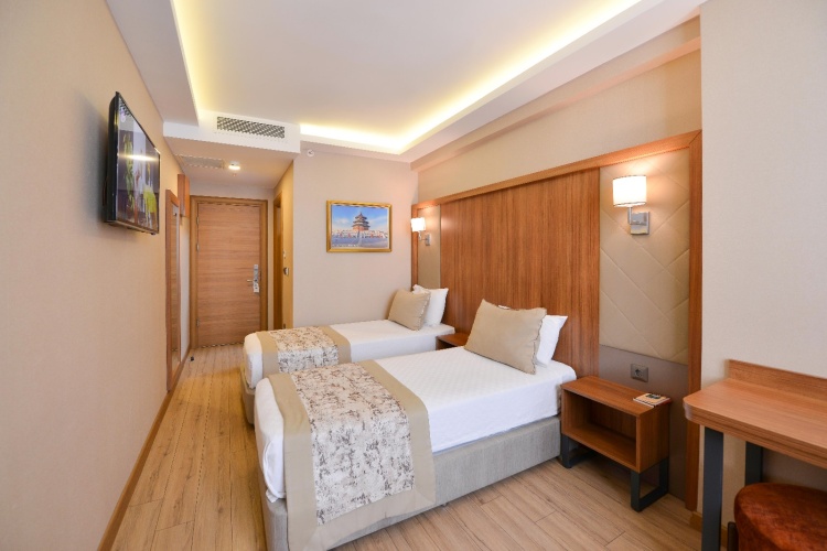 Classic Twin room with view
