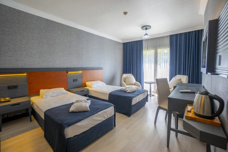 Superior Twin room with balcony and with view