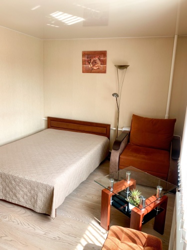 1 Bedroom Apartment with balcony and with view