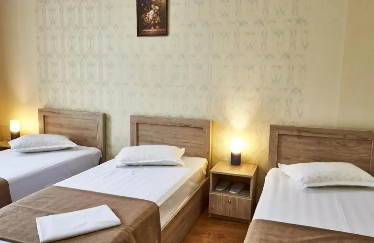 Hotel Old Borzhomi