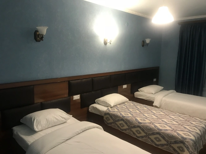 Standard Triple room with view