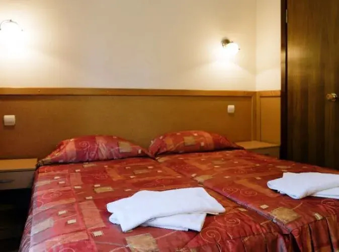 Фотография номера гостиницы Золотая Пальма