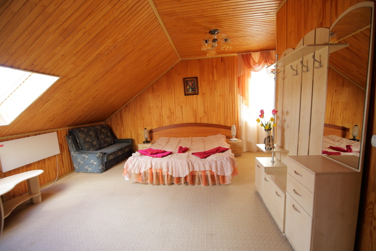 Standard Double room with balcony and with view