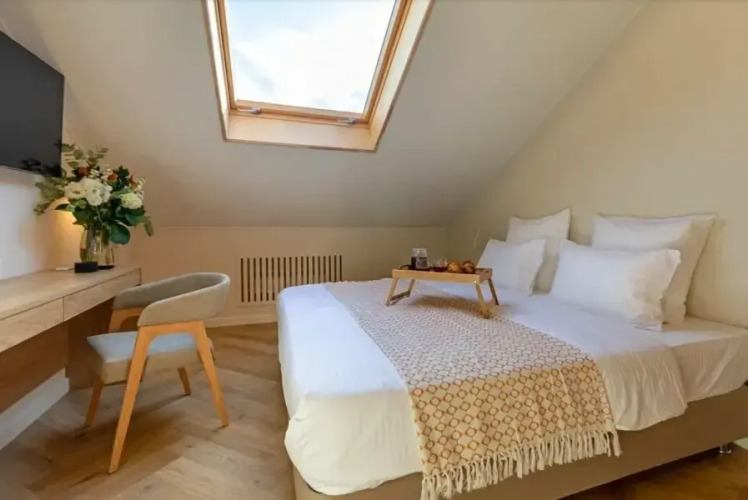 Фотография номера гостиницы Бутиу-отель Казначейский