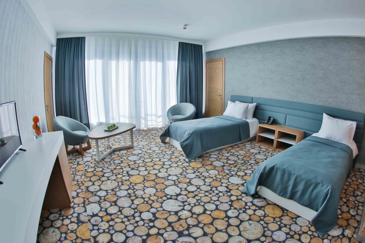 Standard Twin room with balcony and with mountain view