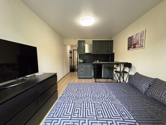 Фотография номера квартиры Апартаменты RoomOnDay в ЖК Саяны-Парк арт.000503