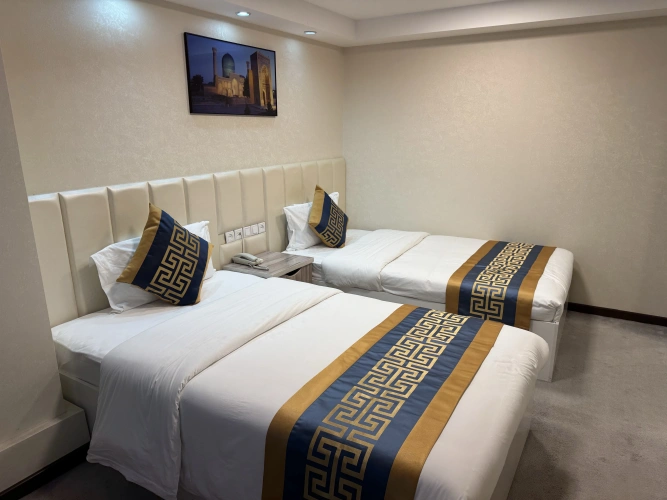 Deluxe Twin room with city view