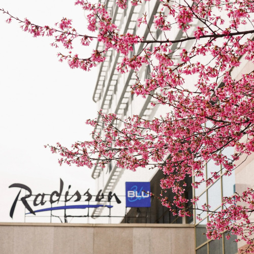 Отель Radisson Blu, Калининград