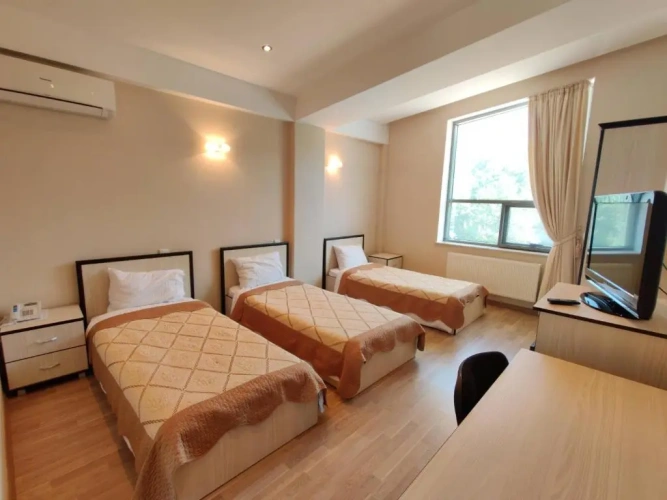 Standard Triple room with view