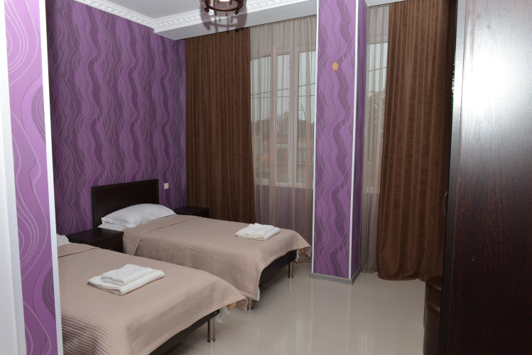 Standard Twin room with view
