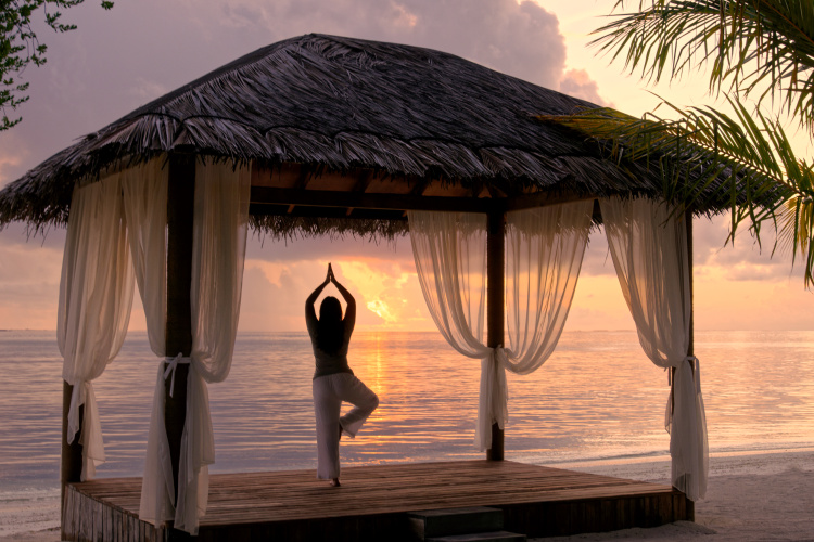Canareef Resort Maldives photo 23