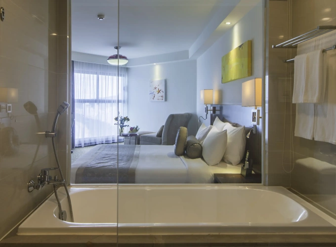 Deluxe Double room with city view