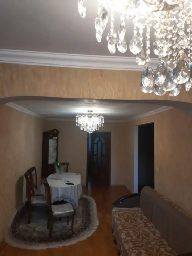 Delfin Spb Flat