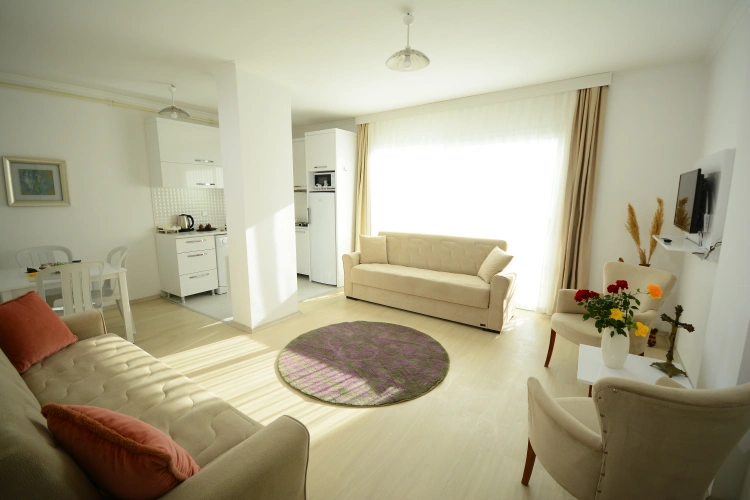 1 Bedroom Apartment with balcony and with view