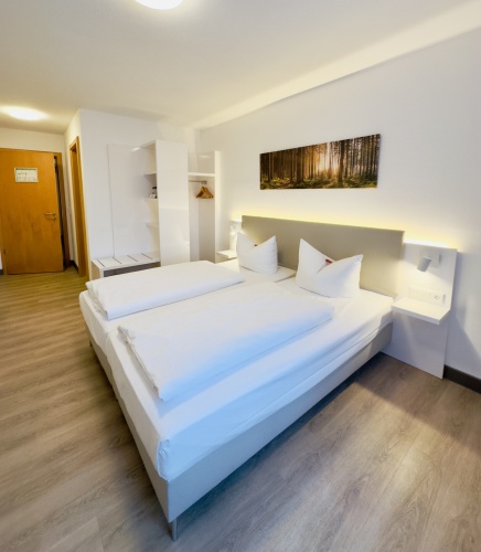 Standard Double room with view