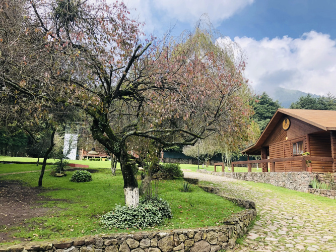 EcoCamp Ajusco Rotamundos Camping