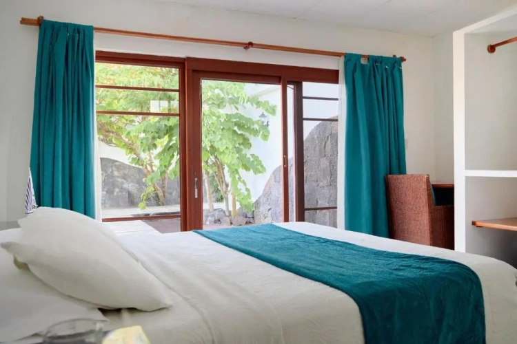 Standard Double room with garden view
