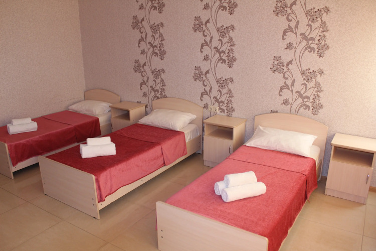 Фотография номера гостиницы Подкова