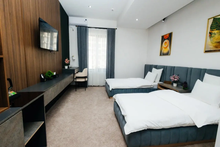 Superior Twin room with city view