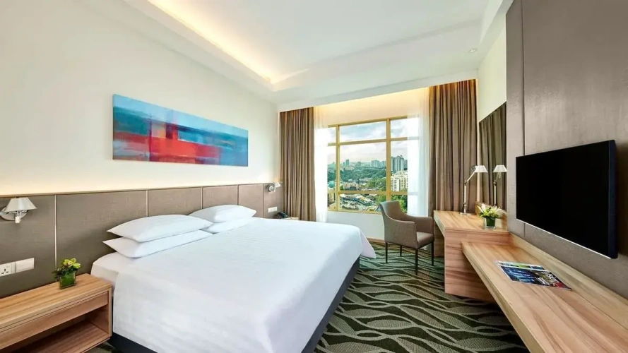 Deluxe Plus Double room park