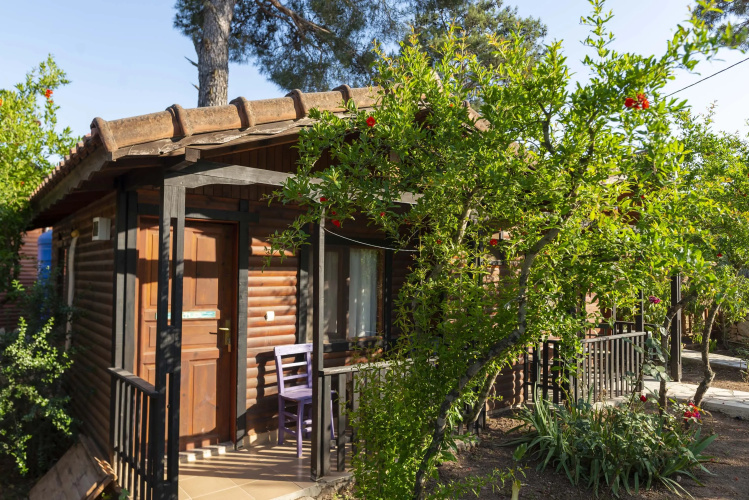 Koala Bungalow