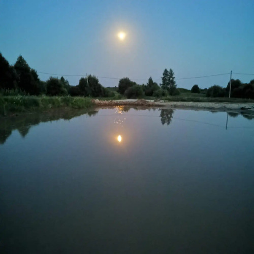 Фотография номера Коттеджа Частный дом с баней и пирсом на берегу пруда