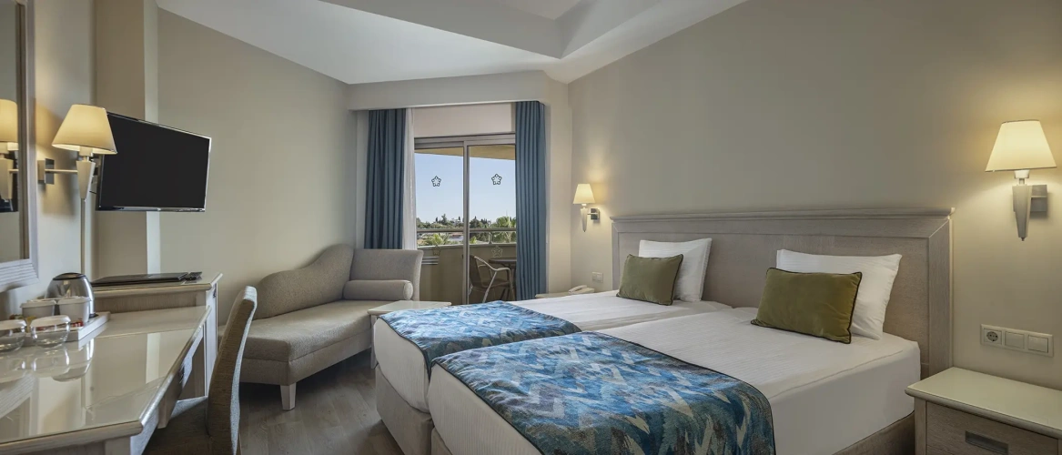 Standard Double room with balcony and with view
