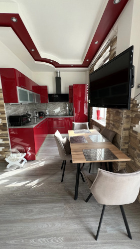 Фотография номера квартиры Апартаменты на Васильевском с террасой