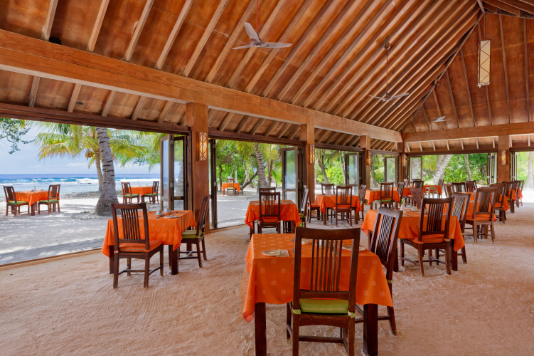 Canareef Resort Maldives photo 36