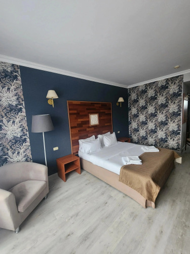 Фотография номера гостиницы Парк-Отель Маликон