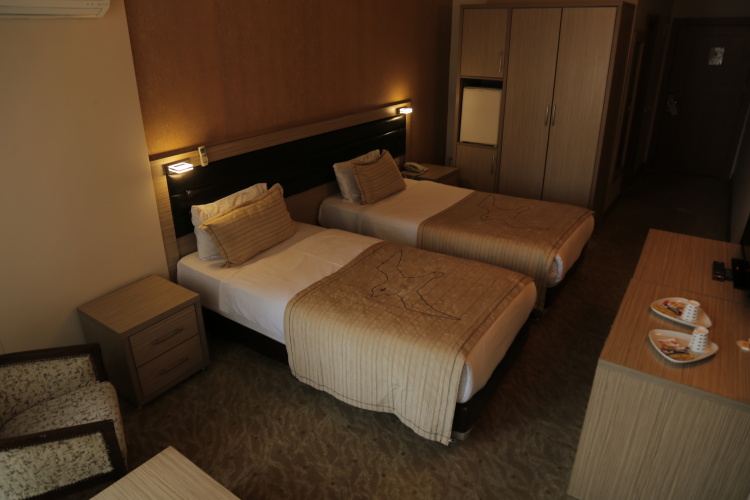 Standard Twin room with view