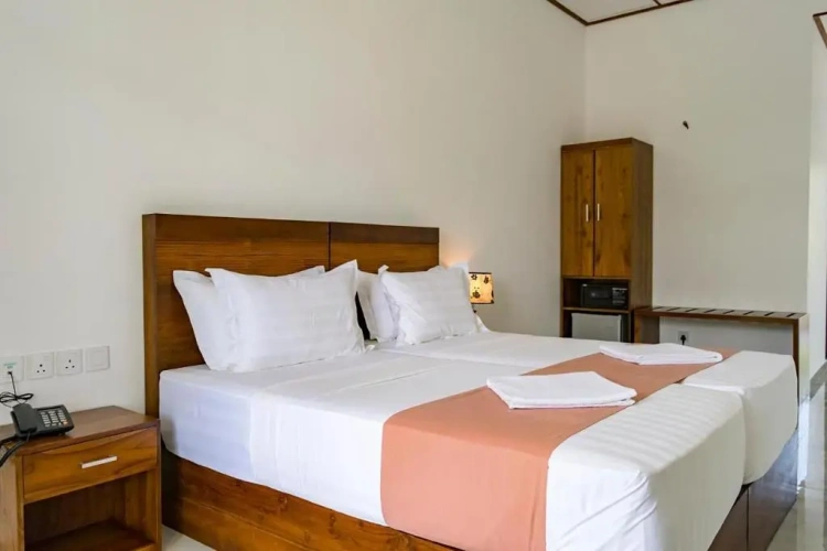 Deluxe Twin room with balcony and with view