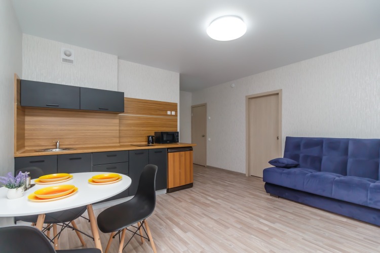 Фотография номера квартиры Апартаменты на Доватора 1