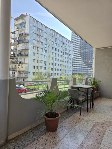 Sunny Palm Hostel