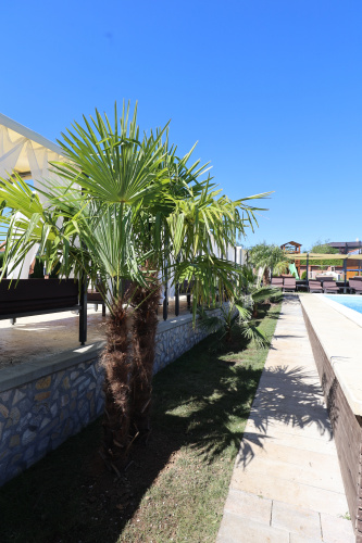 Alexander Resort Hotel