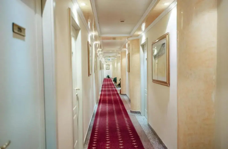 Pushkin Hotel