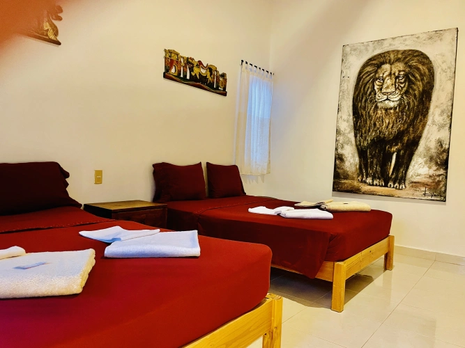 Executive Twin room
