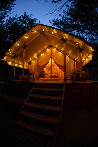 Фотография номера гостевого дома Дом О, Дни в Лесу