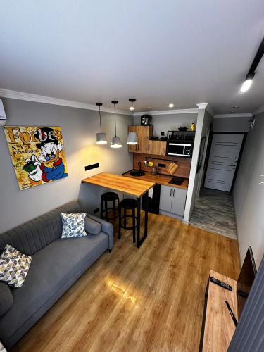 Фотография номера квартиры Квартира Студия в стиле Лофт