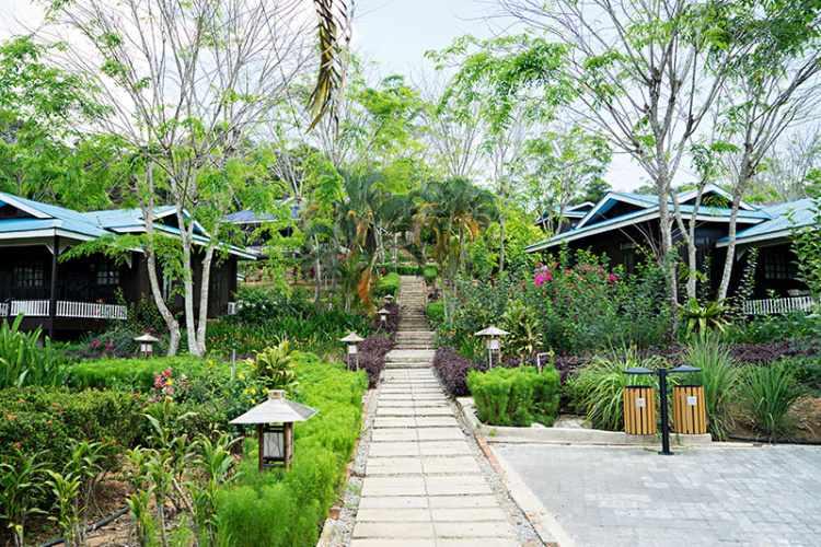 Villa with garden view