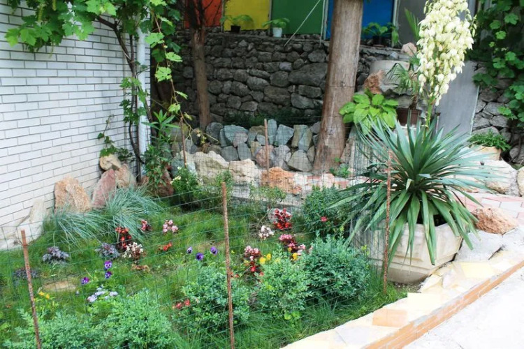 Изображение 1