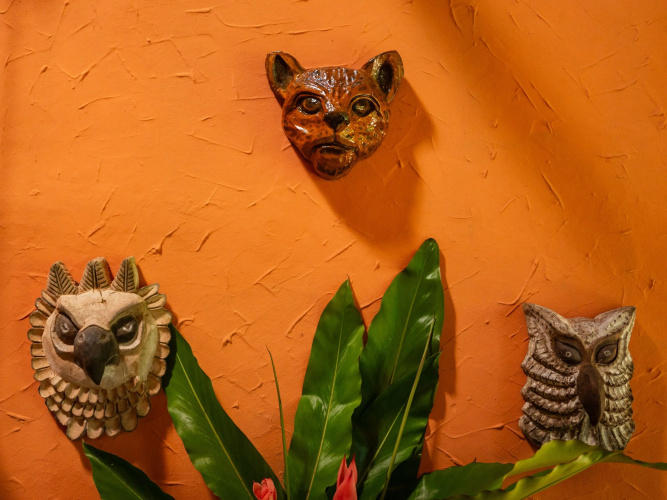 Posada Amazonas Hotel