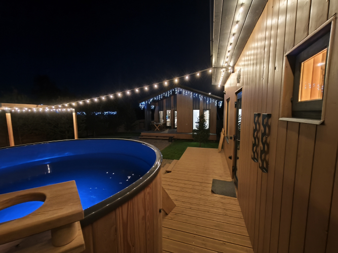 Фотография номера Коттеджа Частный дом Загородный Skandi рыбка