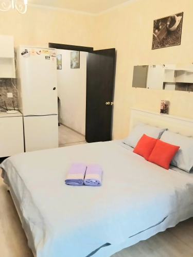 Фотография номера квартиры Апартаменты уютные