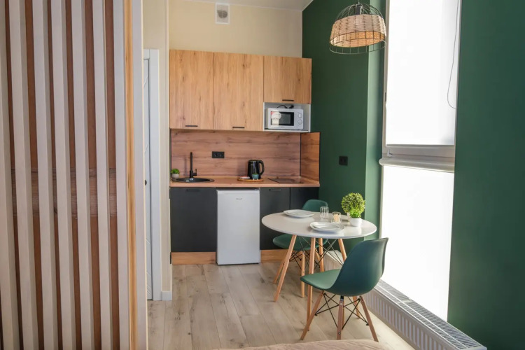 Фотография номера квартиры Апартаменты RentHouse на Амундсена 7