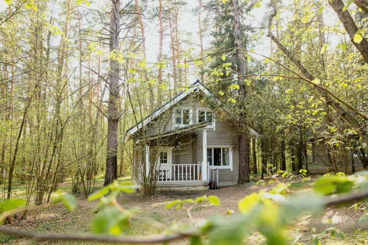 Фотография номера базы отдыха Pine River