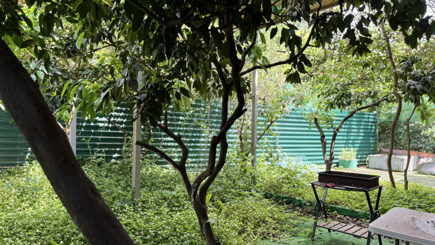 Kalina Gagra Mini hotel